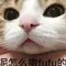 miss kitty free slots Kim Jongmin bergabung dengan Tokushima Vortis pada tahun 2021